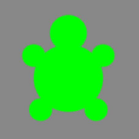 Spicy Turtle