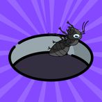 Ant Hole!