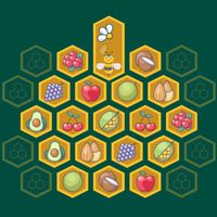 Memory Game: HoneyBee