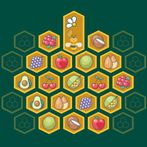 Memory Game: HoneyBee