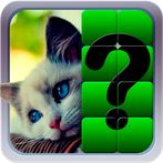 გამოიცანი სურათი