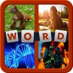 4 Pics 1 Word Puzzle