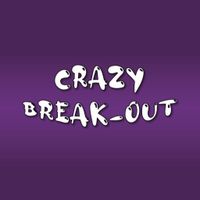 Crazy Breakout