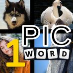 1 Pic 1 Word Picture Puzzle