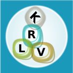 Crossword puzzle generator