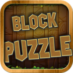 Wood Block Magic Puzzle Mania