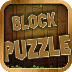 Wood Block Magic Puzzle Mania