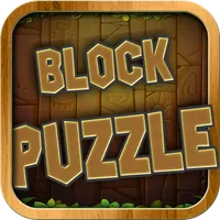 Wood Block Magic Puzzle Mania