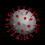 The Virus Blitz 2021