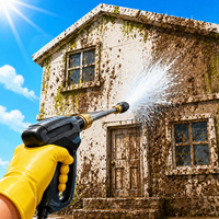House Makeover: Dream Clean