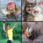 Угадай слово