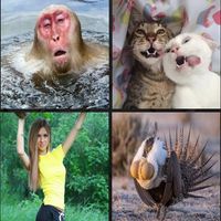 Угадай слово