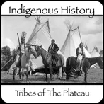 Plateau Timeline