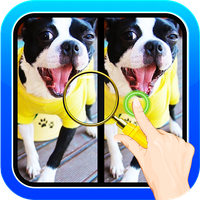 Find Spot The Difference #19