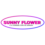 Sunny Flower e a corrida com a