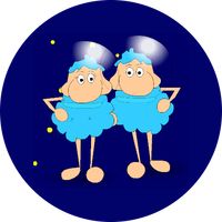 Captain's Nurse & Nursi