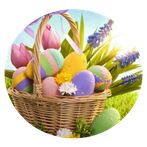 Egg Alert