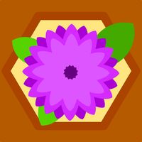 Flower Field