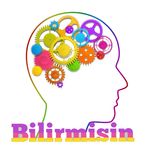 Bilirmisin