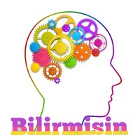 Bilirmisin