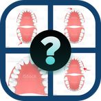 Tooth Numbering Quiz