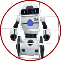 Robot Puzzle