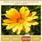 Quebra-Cabeça de Flores