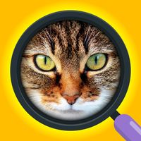 Зум пик игра найди слово