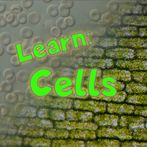 Learn: Cells
