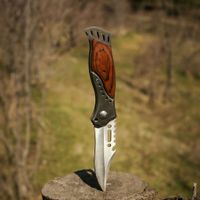 Метатель ножей