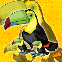 Toucans Family Escape