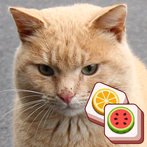 Cat match puzzle: block puzzle