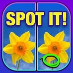 What's the Difference? Spot It