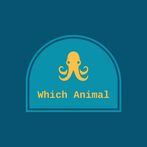 Which Animal is This ?