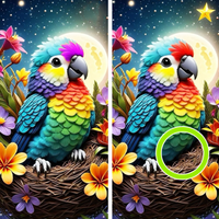 Find the Differences - Spot it