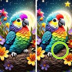 Find the Differences - Spot it