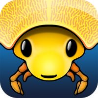 Morphopolis