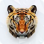 Poly Mania - 3D poly puzzles