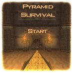 Pyramid Survival