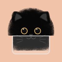 Liquid Cat - Sort Puzzle