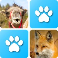Pairs: Animals