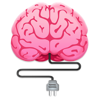 Factual Quiz 2020: Challenging