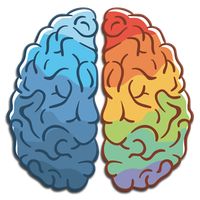 Bilgi Yarışması - Zeka Oyunu