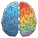 Bilgi Yarışması - Zeka Oyunu