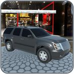 Park-Pro:Car Parking Simulator