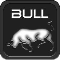 Bull Active Ragdoll