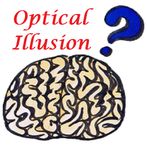 What has changed on the screen