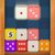 Dice Puzzle Game