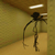LazySoft Studios