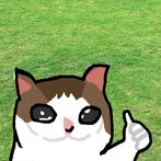 이상한 고양이 키우기